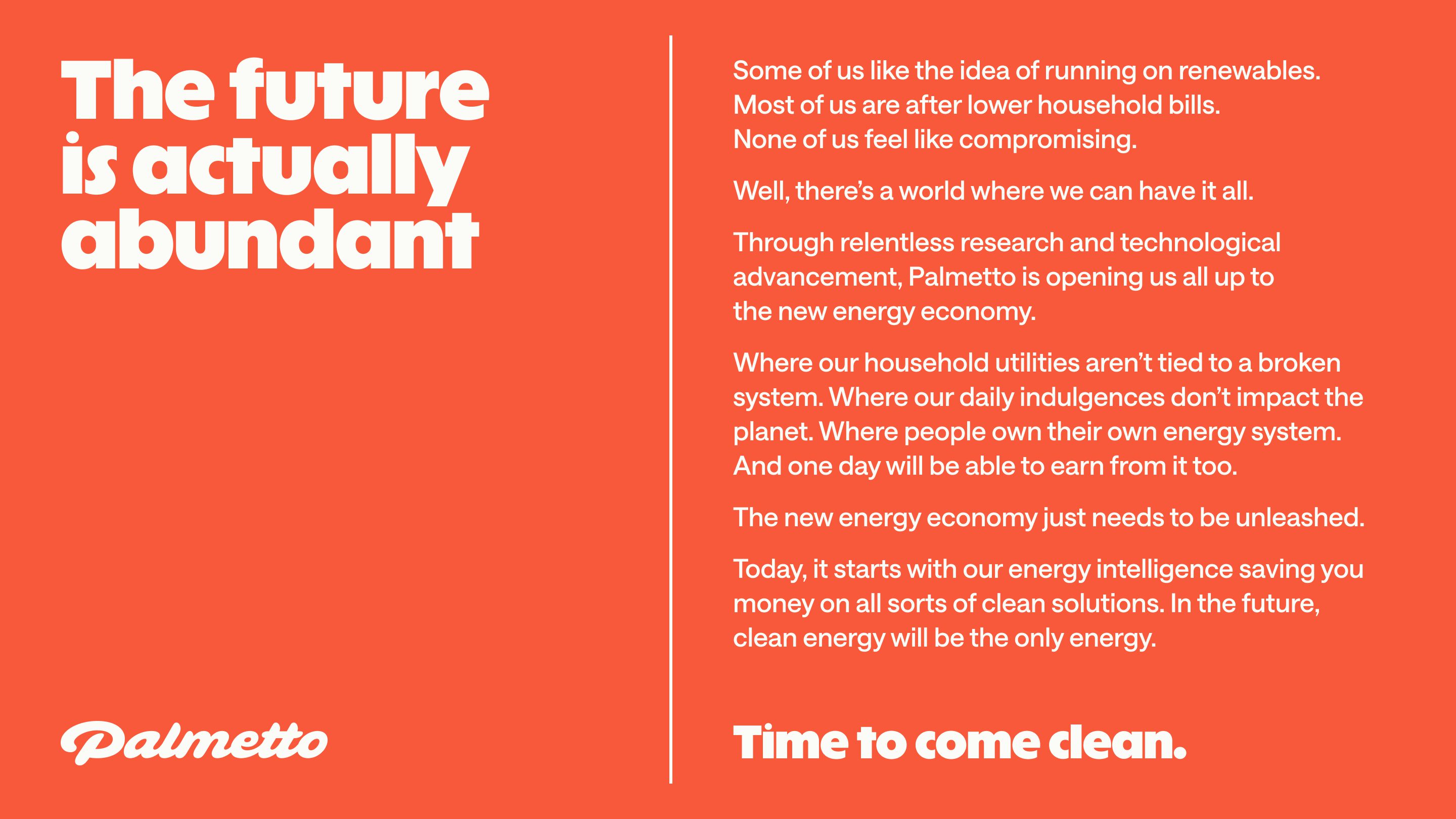 Palmetto Manifesto V6